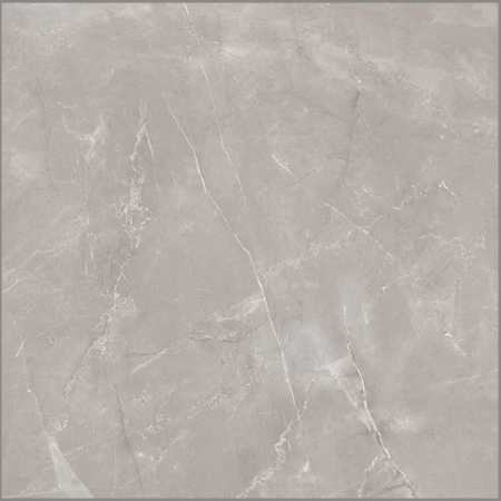 DEJAVU  GRAY/ پرسلان دژاوو طوسی