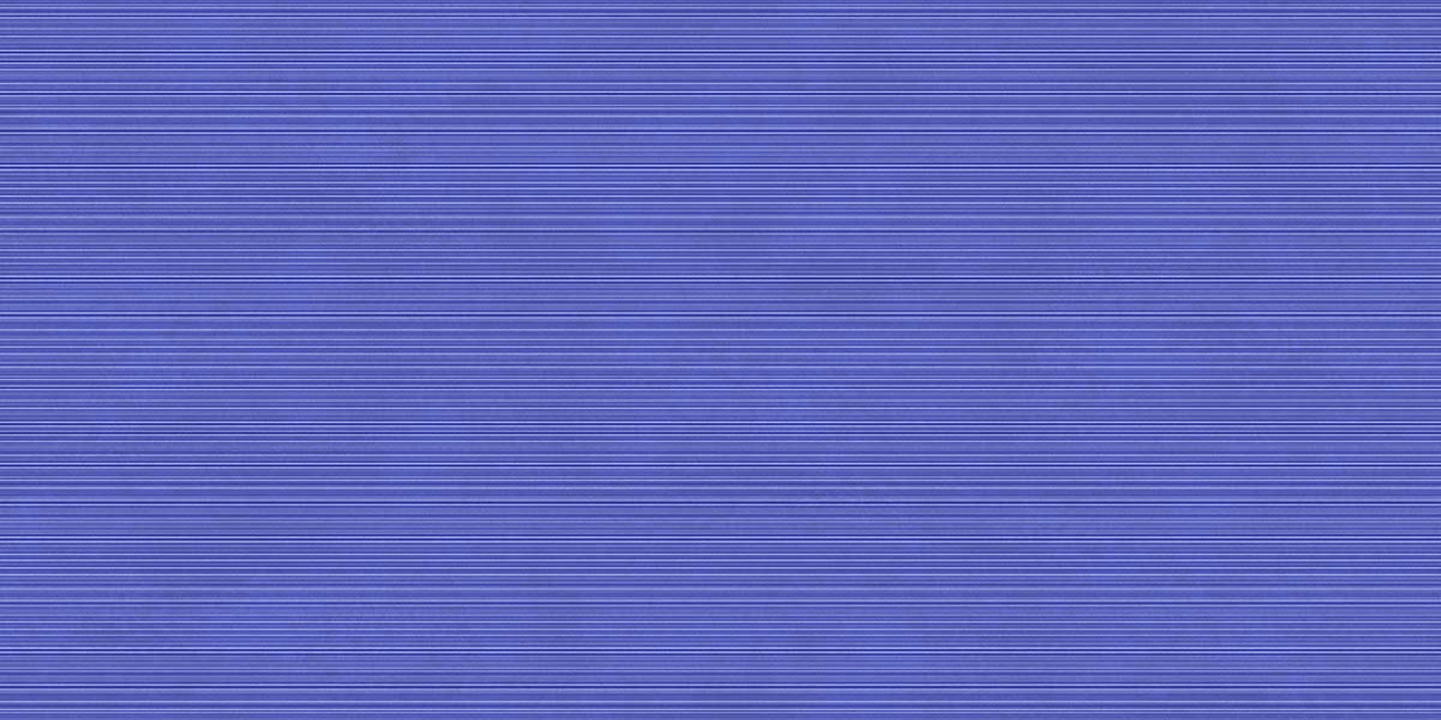 اسلب پرسلان CONCEPT BLUE PUNCH