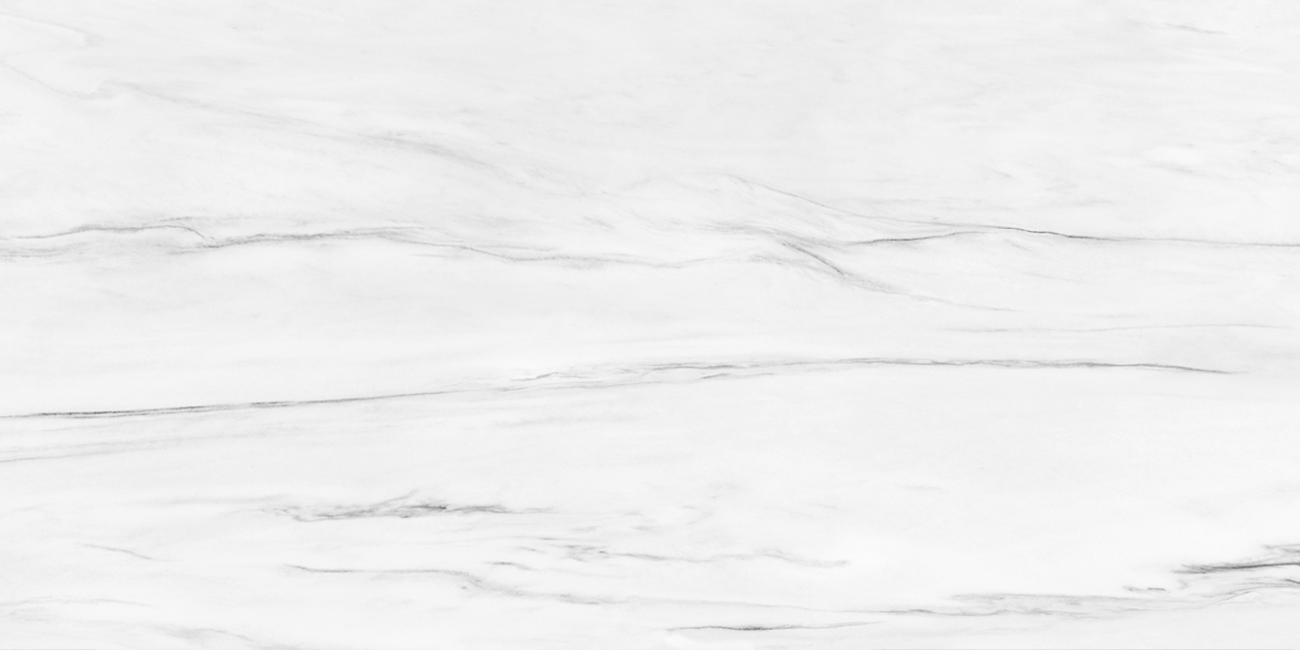 اسلب پرسلان PRINCE