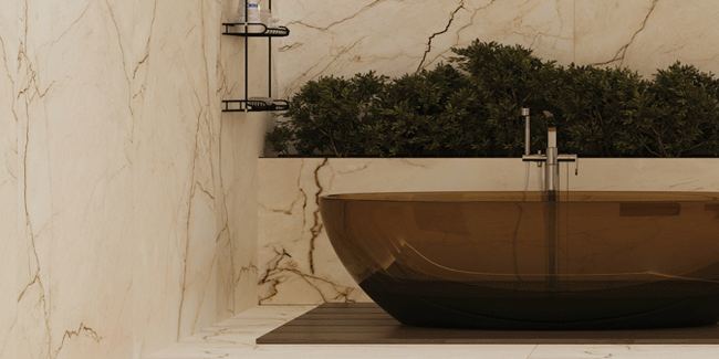 اسلب لموند استخوانی/LEMOND BONE