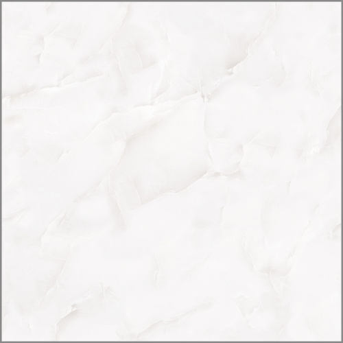 RICHER SHELLS/ پرسلان ریچر صدفی